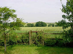 view towards Malton from your garden