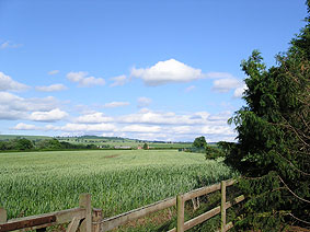 View from Stables  cottage garden
