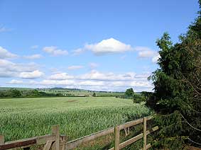 great views from the cottages
